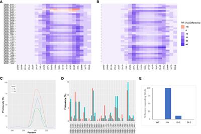 The MHC Associated Peptide Proteomics assay is a useful tool for the non-clinical assessment of immunogenicity